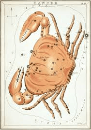 cancer constellation